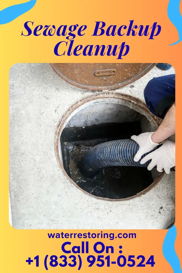 Sewage Backup Cleanup in Mi Ranchito Estate, TX