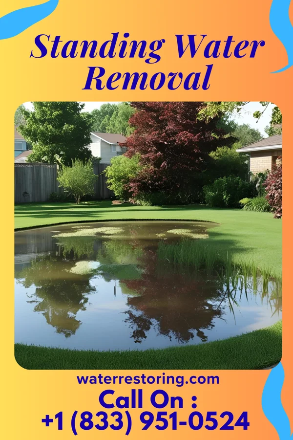 Standing Water Removal in Mi Ranchito Estate, TX